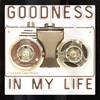 Goodness In My Life (15) (Instrumental) Main Image